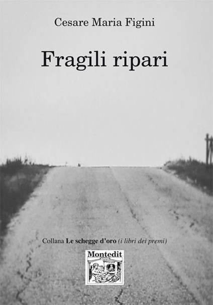 Fragili ripari - Cesare Maria Figini - copertina