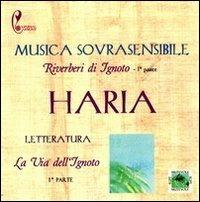 La via dell'ignoto. Riverberi di ignoto. Con CD Audio - Haria - copertina