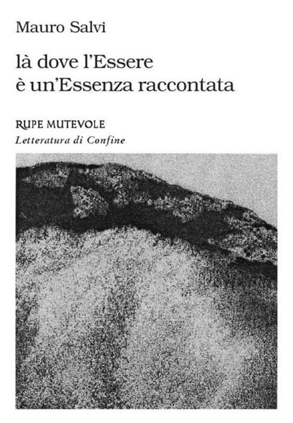 Là dove l'essere è un'essenza raccontata - Mauro Salvi - copertina