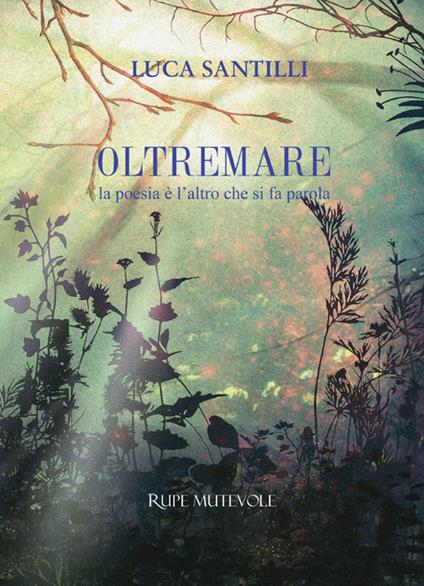 Oltremare. La poesia è l'altro che si fa parola - Luca Santilli - copertina