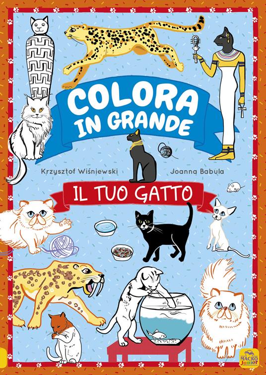 Il tuo gatto. Colora in grande. Ediz. a colori - Krzjsztof Wísniewski,Joanna Myjak - copertina