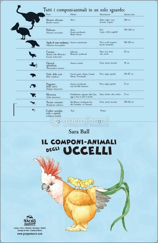 Il componi-animali degli uccelli. Ediz. a colori - Sara Ball - 2