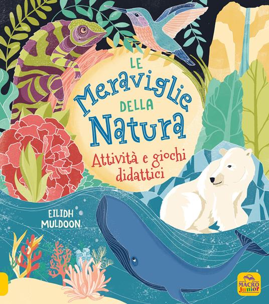 La meraviglie della natura. Attività e giochi didattici. Ediz. a colori - Eilidh Muldoon,Lisa Regan - copertina