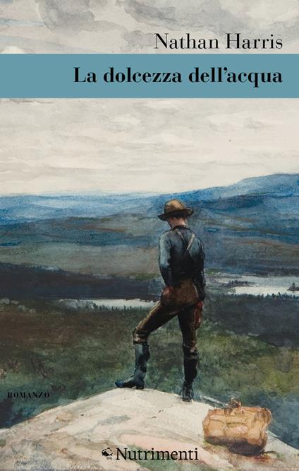 La dolcezza dell'acqua - Nathan Harris - copertina