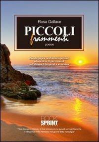 Piccoli frammenti - Rosa Gallace - copertina