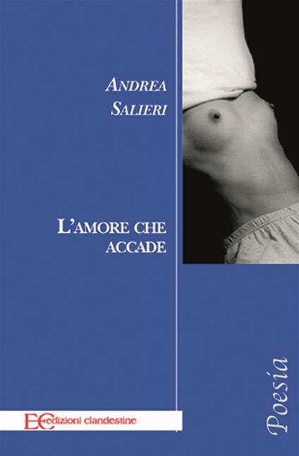 L' amore che accade - Andrea Salieri - ebook