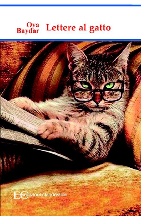 Lettere al gatto - Oya Baydar,Barbara Gambaccini,Rakesh Jobanputra - ebook