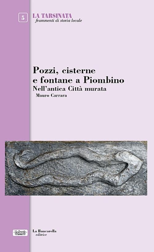 Pozzi, cisterne e fontane a Piombino. Nell'antica città murata - Mauro Carrara - copertina