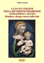 La santa Vergine nella devozione piombinese attraverso i secoli. Piombino: disegno storico della città