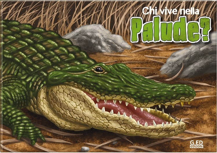 Libreria Internazionale Romagnosi snc