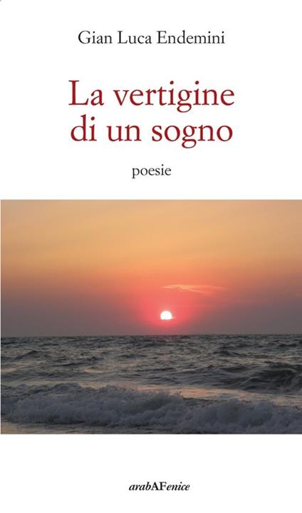 La vertigine di un sogno - G. Luca Endemini - copertina
