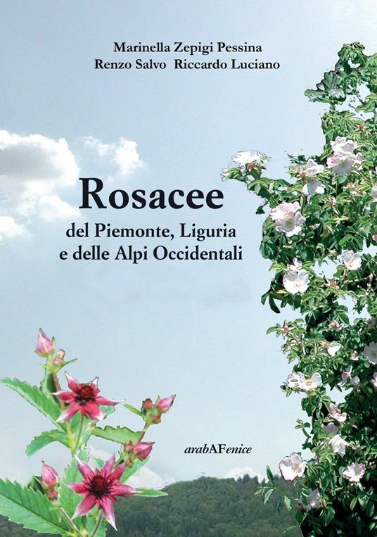 Rosacee del Piemonte. Liguria e delle Alpi Occidentali. Ediz. illustrata - Marinella Zepigi Pessina,Riccardo Luciano,Renzo Salvo - copertina