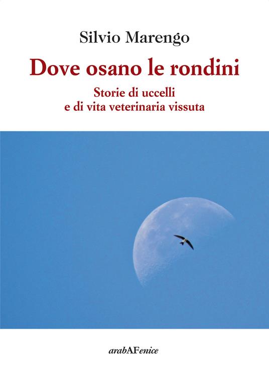 Dove osano le rondini. Storie di uccelli e di vita veterinaria vissuta - Silvio Marengo - copertina
