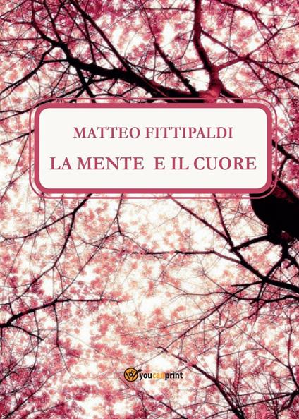 La mente e il cuore - Matteo Fittipaldi - copertina