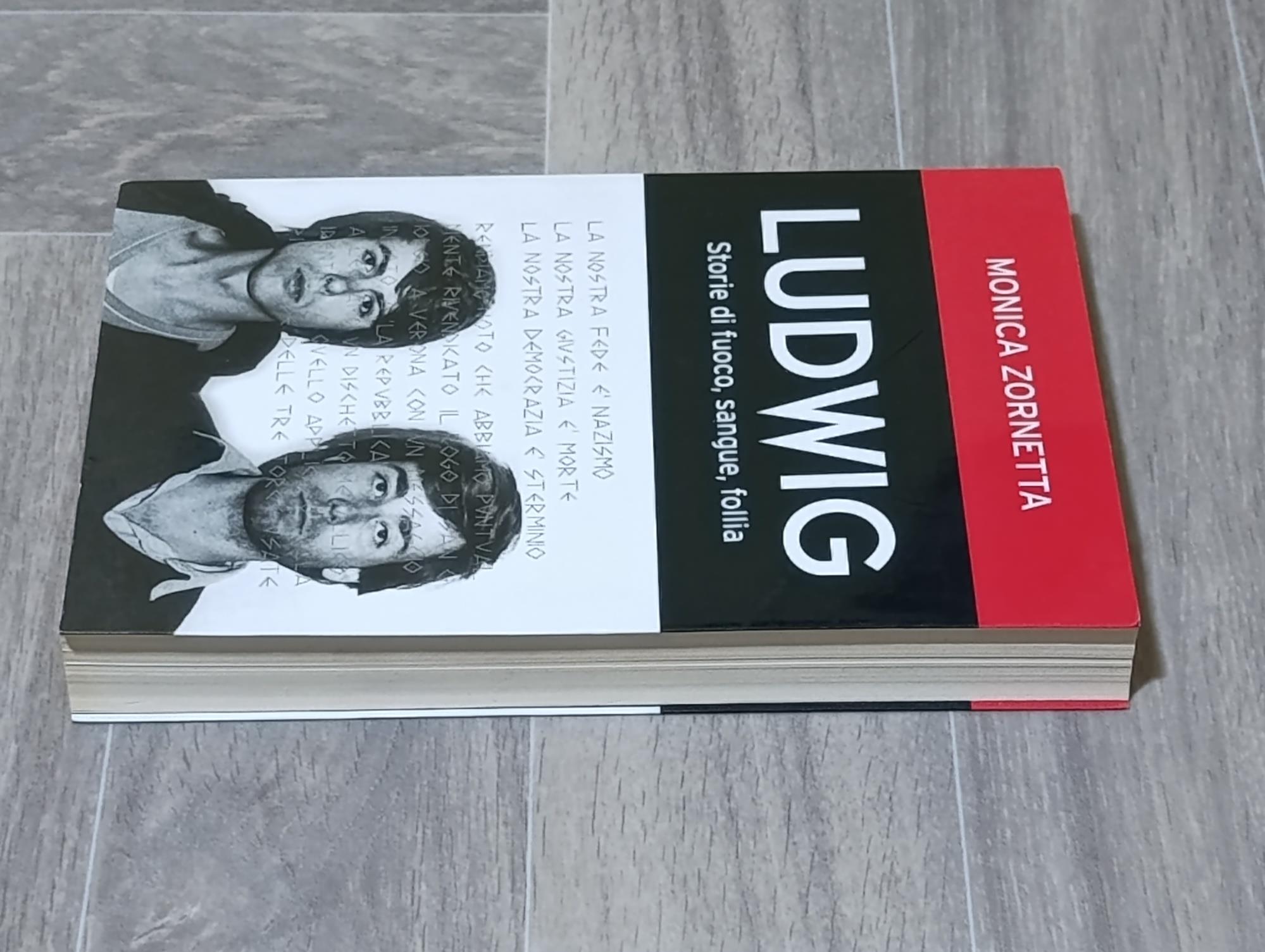 Ludwig. Storie di fuoco, sangue, follia