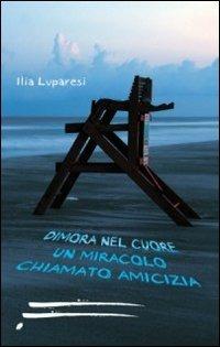 Dimora nel cuore un miracolo chiamato amicizia - Ilia Luparesi - copertina