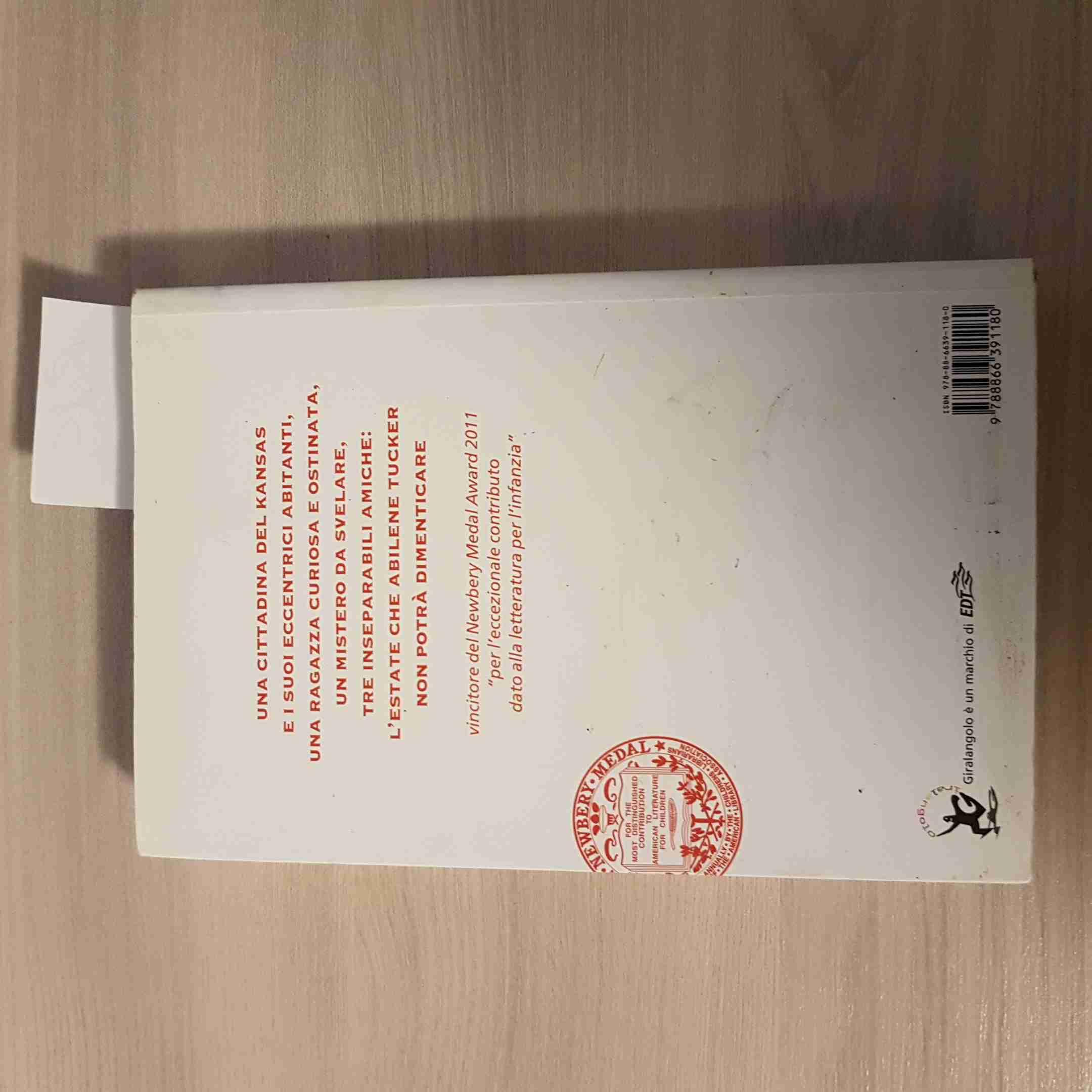 L'indimenticabile estate di Abilene Tucker