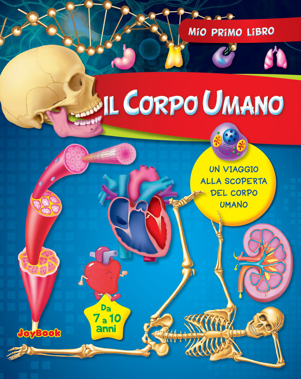 Libraccio