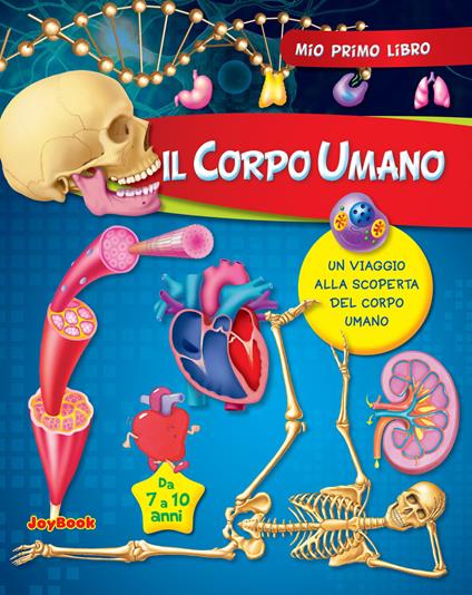 Il corpo umano. Ediz. illustrata - copertina