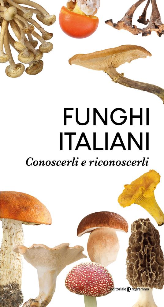 Funghi italiani. Conoscerli e riconoscerli - copertina