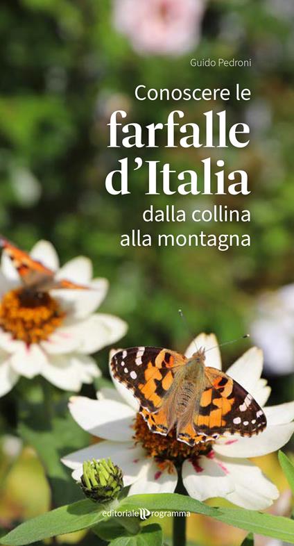 Conoscere le farfalle d'Italia dalla collina alla montagna - Guido Pedroni - copertina