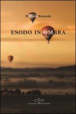 Esodo in ombra