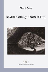 Sparire ora qui non si può - Alberti Pasina - copertina