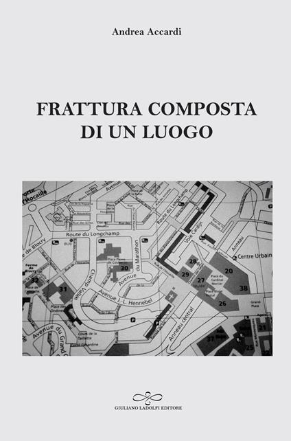 Frattura composta di un luogo - Andrea Accardi - copertina