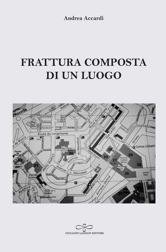 Frattura composta di un luogo - Andrea Accardi - copertina