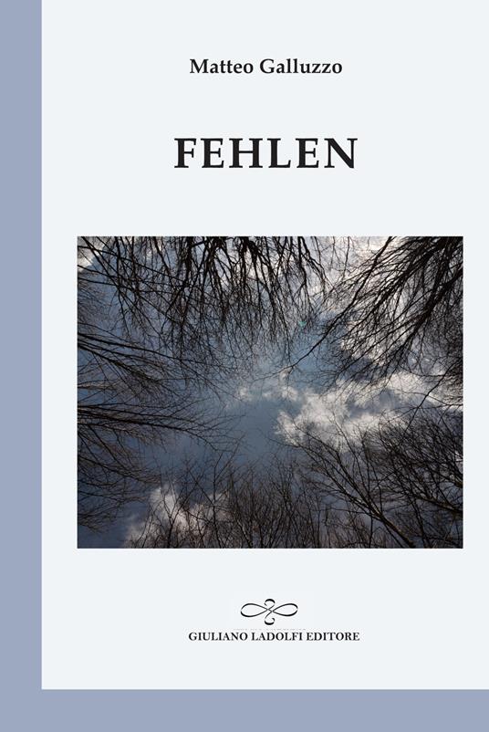 Fehlen. Ediz. italiana - Matteo Galluzzo - copertina