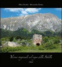 Visioni stagionali nel regno della Sibilla - Silvia Gustin,Alessandra Trenta - copertina
