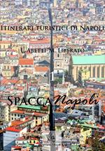 SpaccaNapoli. Itinerari turistici di Napoli. Vol. 1