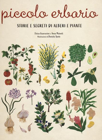 Piccolo erbario. Storie e segreti di alberi e piante. Ediz. a colori - Eloisa Guarracino,Anna Mainoli - copertina