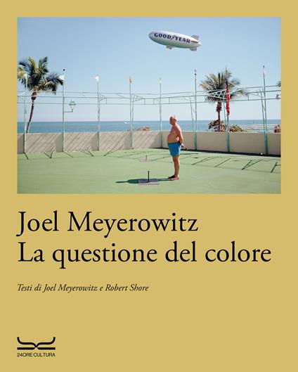 La questione del colore - Joel Meyerowitz,Robert Shore - copertina