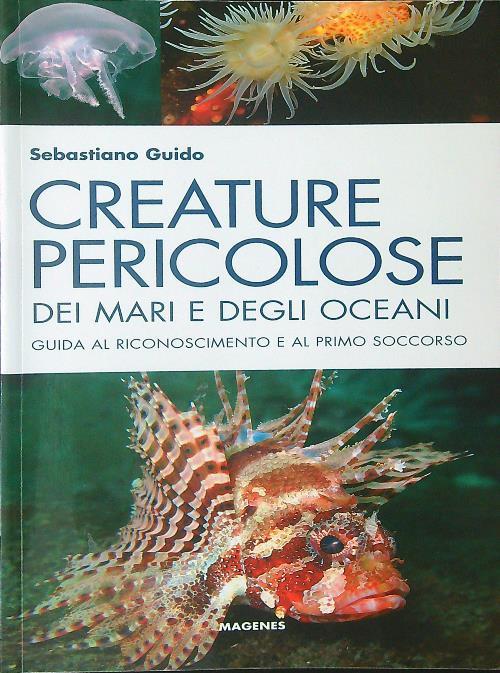 LIBRACCIO VINTAGE