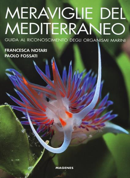 Meraviglie del Mediterraneo. Guida al riconoscimento degli organismi marini. Ediz. illustrata - Francesca Notari,Paolo Fossati - copertina