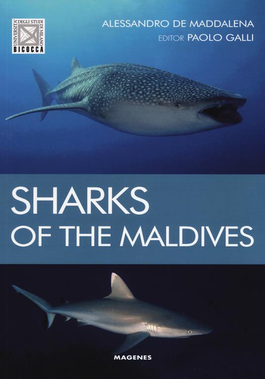 Sharks of the maldives - Alessandro De Maddalena - copertina