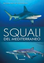 Squali del Mediterraneo. Ediz. illustrata