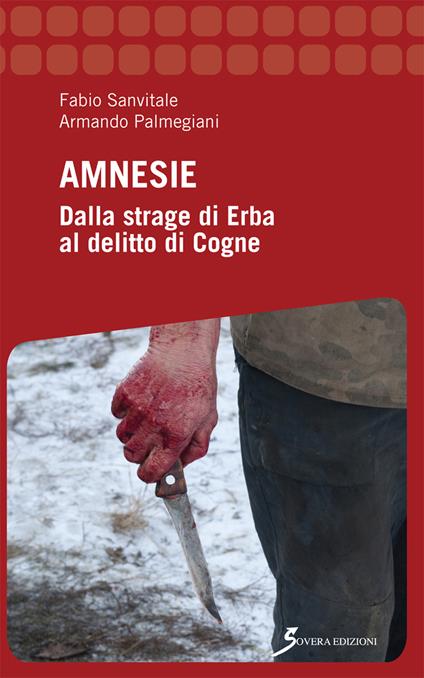 Amnesie. Dalla strage di Erba al delitto di Cogne - Fabio Sanvitale,Armando Palmegiani - copertina
