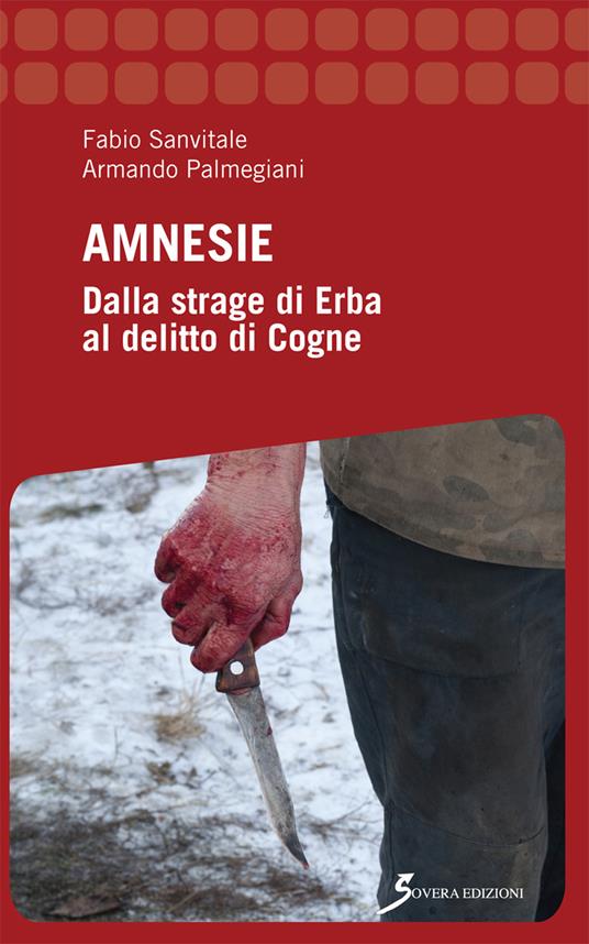 Amnesie. Dalla strage di Erba al delitto di Cogne - Fabio Sanvitale,Armando Palmegiani - copertina