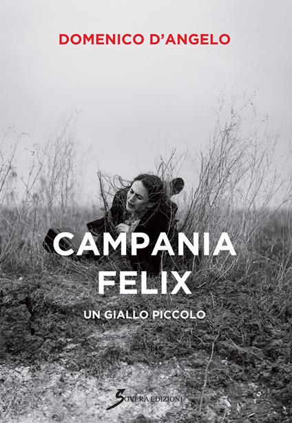 Campania Felix. Un giallo piccolo - Domenico D'Angelo - copertina