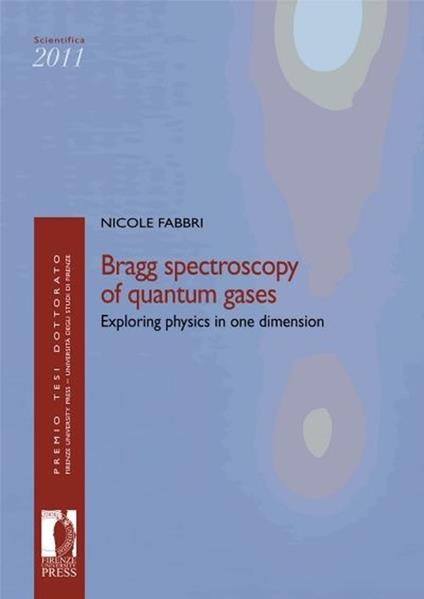 Bragg spectroscopy of quantum gases: exploring physics in one dimension - Nicole Fabbri - copertina