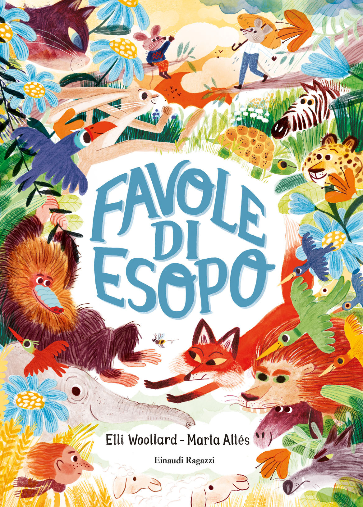 Libraccio