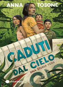 Libro Caduti dal cielo. Una storia vera Anna Tosone