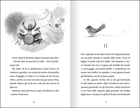 Robin. Ediz. illustrata - Sarah Ann Juckes - 4
