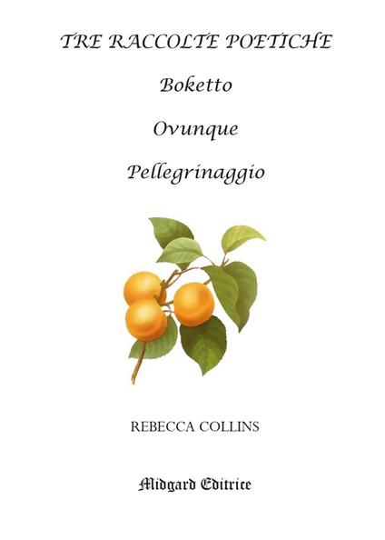 Tre raccolte poetiche - Rebecca Collins - copertina