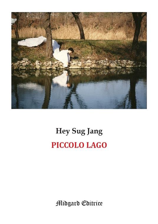 Piccolo lago. Nuova ediz. - Hey Sug Jang - copertina