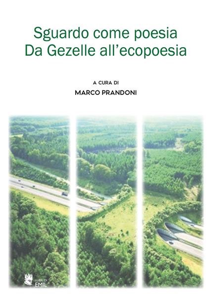 Sguardo come poesia. Da Gezelle all'ecopoesia - copertina