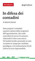 Nome prodotto