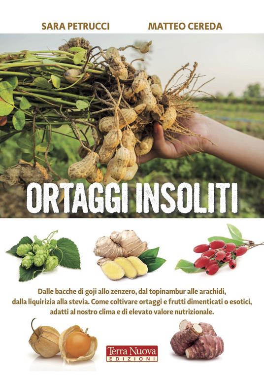 Ortaggi insoliti - Matteo Cereda,Sara Petruzzi - copertina